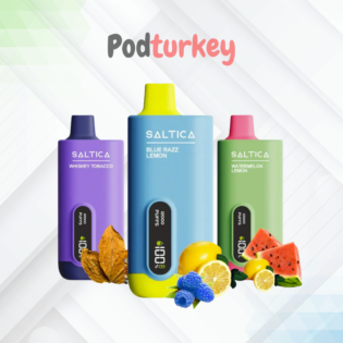 Saltica 12000 puff - saltica 10000 puff - podturkey3.com